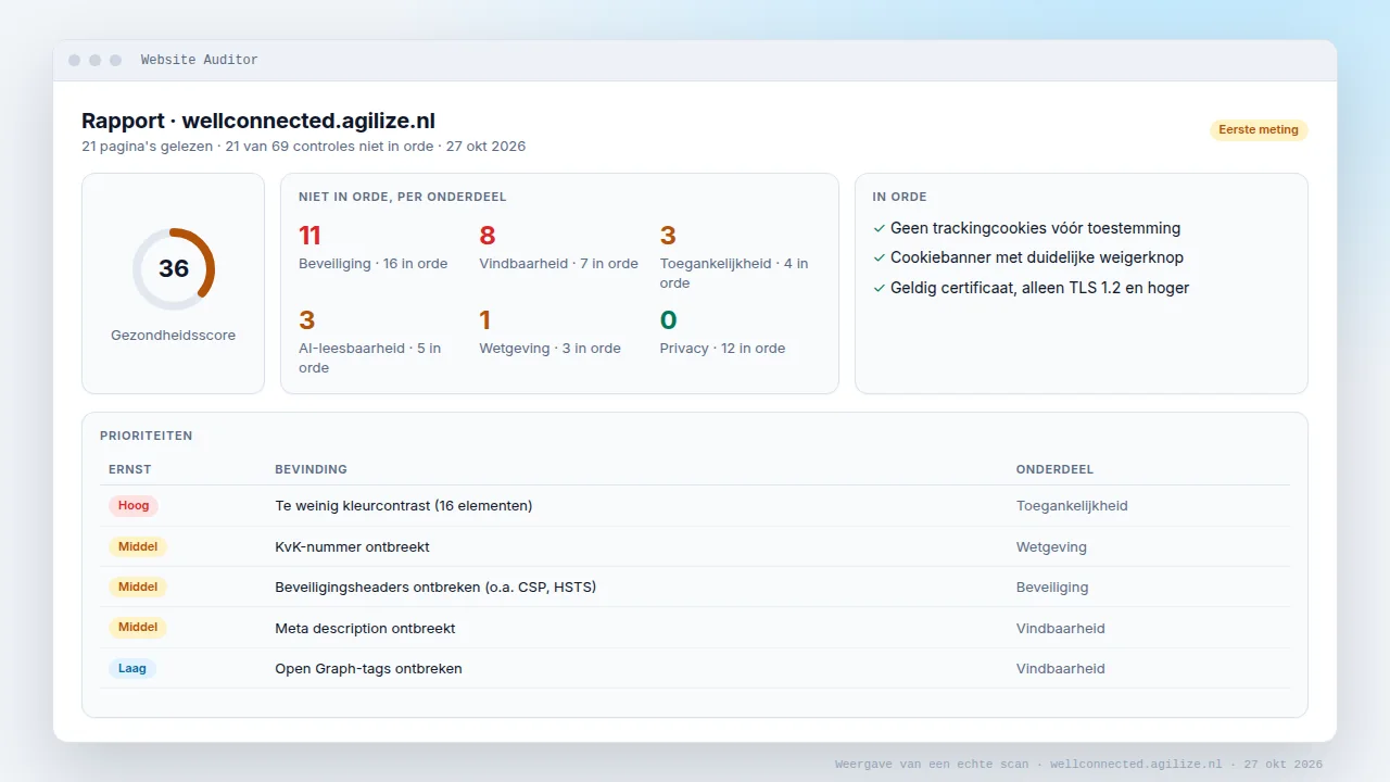Weergave van een rapport van de Website Auditor